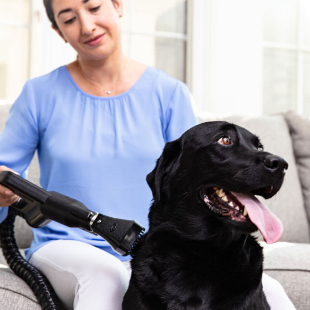 Pet Grooming Tool